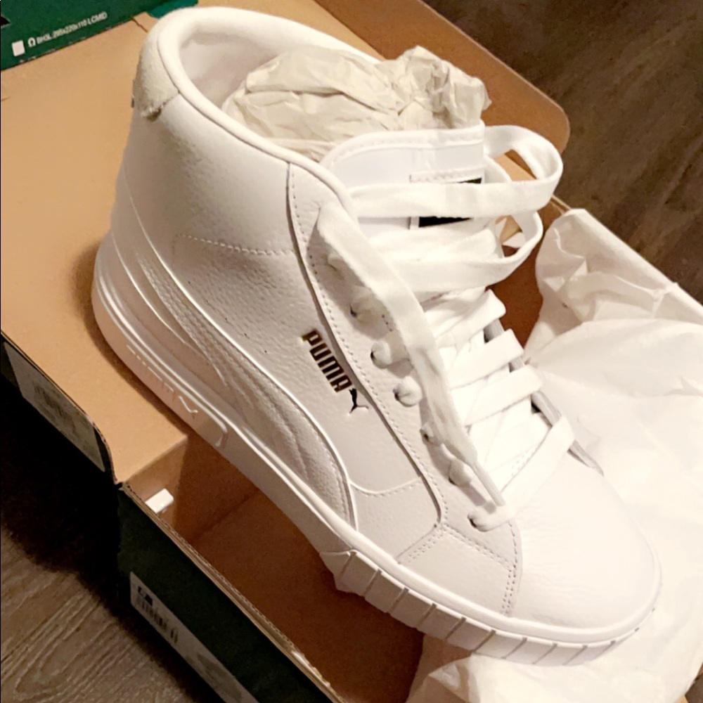 New pumas